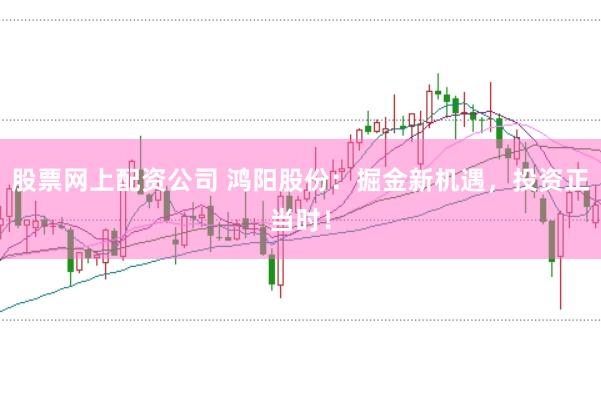 股票网上配资公司 鸿阳股份：掘金新机遇，投资正当时！