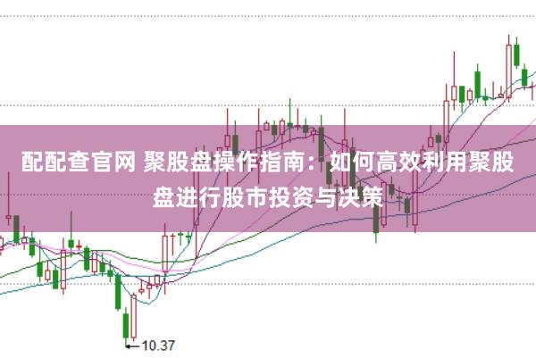 配配查官网 聚股盘操作指南：如何高效利用聚股盘进行股市投资与决策