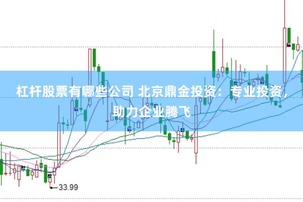 杠杆股票有哪些公司 北京鼎金投资：专业投资，助力企业腾飞