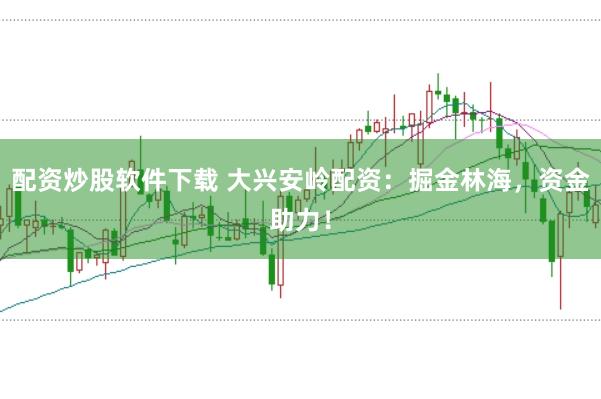 配资炒股软件下载 大兴安岭配资：掘金林海，资金助力！